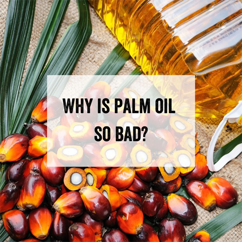 Palm Oil